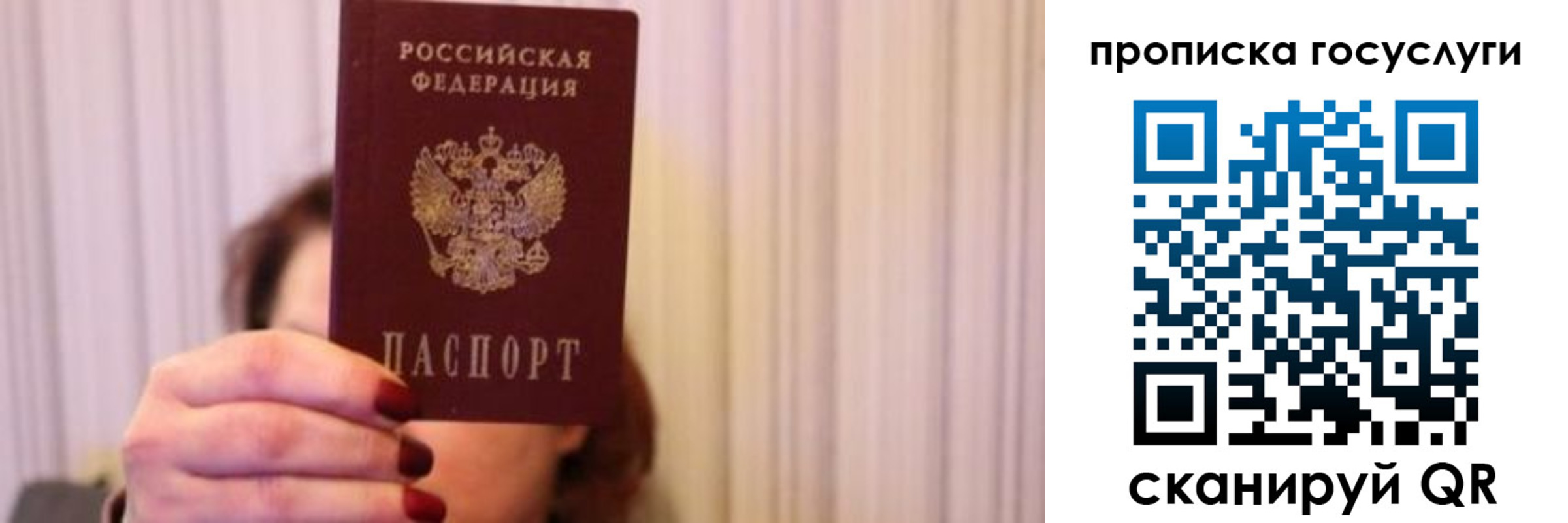 где прописаться в Димитровграде