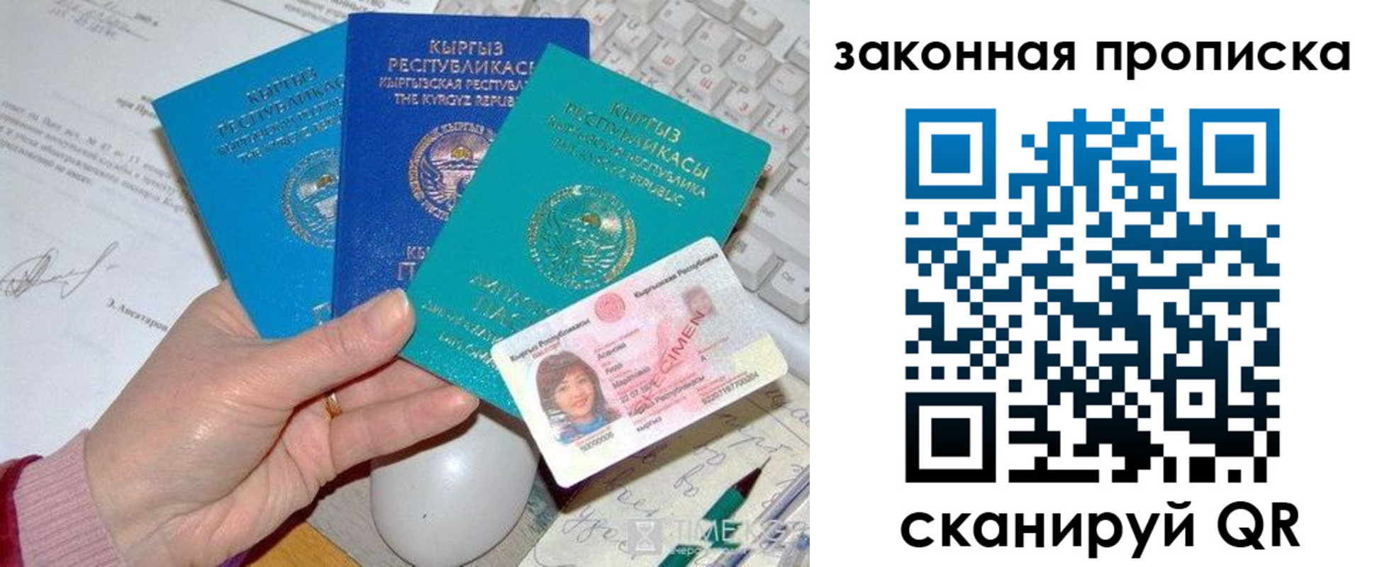 прописка 2025 в Димитровграде