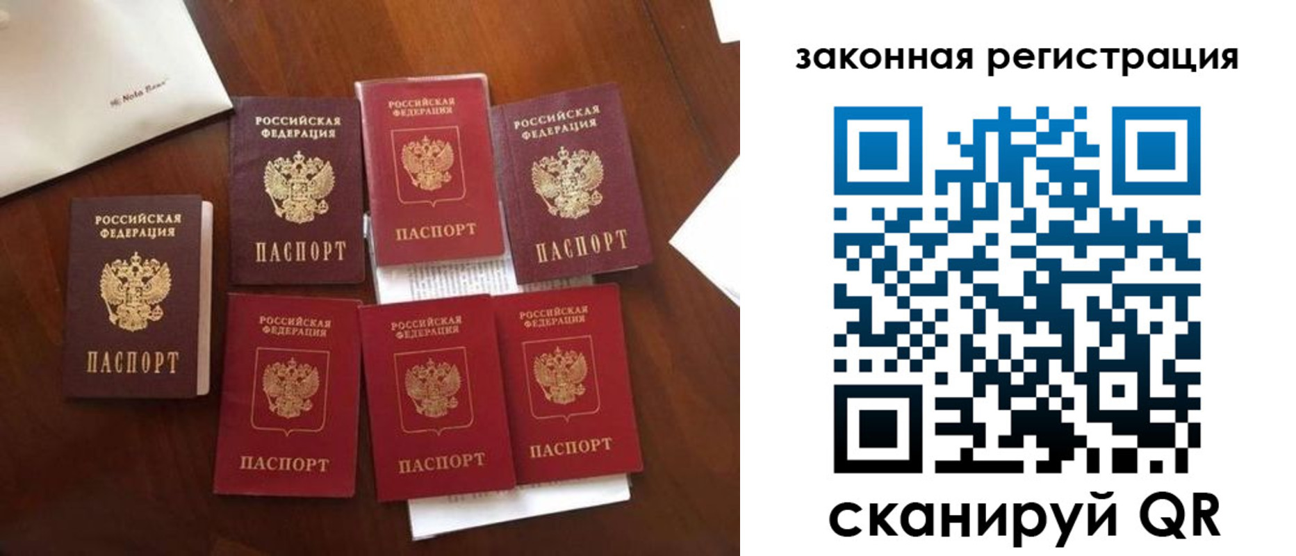 временная регистрация госуслуги в Димитровграде